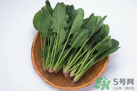 吃菠菜能減肥嗎？3日菠菜減肥食譜減肥不反彈