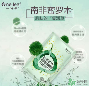 一葉子是哪個國家的？一葉子面膜是哪個國家的？