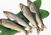 咽喉炎可以吃魚嗎？咽喉炎吃魚有什么好處？