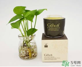姬存希是哪個(gè)國家的？姬存希是哪里產(chǎn)的？