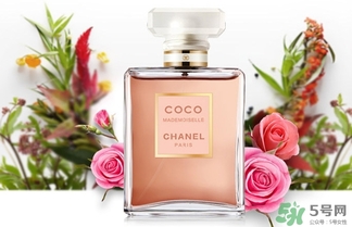 香奈兒黑coco香水和白coco香水哪個好？香奈兒黑可可和白可可選擇