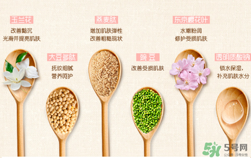 一葉子套裝怎么用？一葉子套裝使用說明