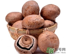 褐菇的營養(yǎng)價(jià)值 褐菇的功效與作用