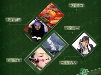 姬存希黃瓜膠多少錢？姬存希黃瓜膠價格