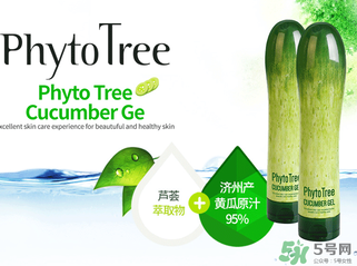 姬存希黃瓜膠多少錢？姬存希黃瓜膠價格
