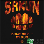 sakun是大品牌嗎？sakun是什么牌子