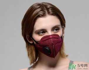 pm2.5口罩多少錢？pm2.5口罩價(jià)格