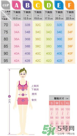 都市麗人內(nèi)衣怎么樣？都市麗人尺碼表