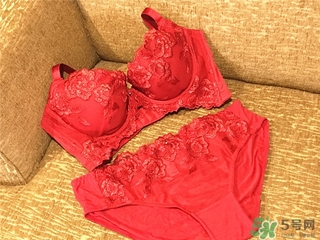 黛安芬內(nèi)衣怎么樣？黛安芬內(nèi)衣價格圖片