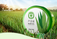 雅麗潔蘆薈膠多少錢？雅麗潔蘆薈膠好不好？