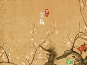 臘八節(jié)出生的女寶寶怎么取名？臘八節(jié)出生的男寶寶怎么取名？