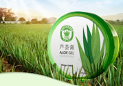 雅麗潔蘆薈膠多少錢？雅麗潔蘆薈膠好不好？