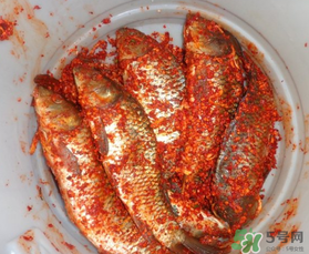 腌魚(yú)放多少鹽？腌魚(yú)放鹽的比例