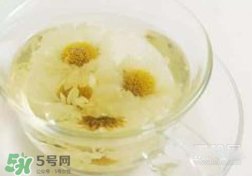 菊花茶什么時(shí)候喝最好？菊花茶什么季節(jié)喝最好？