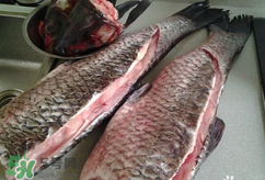 新鮮魚(yú)怎么腌制咸魚(yú)塊？咸魚(yú)塊怎么腌制