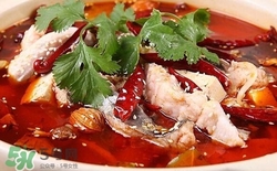 烏江魚(yú)孕婦可以吃嗎?孕婦吃烏江魚(yú)好嗎
