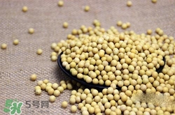 黃豆糖尿病人能吃嗎？糖尿病可以吃黃豆嗎？