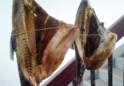 新鮮魚怎么腌制咸魚塊？咸魚塊怎么腌制