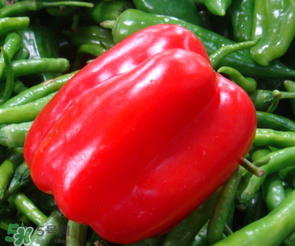 辣椒變紅能吃嗎？辣椒為什么會變紅？
