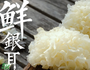 新鮮銀耳有毒嗎？新鮮銀耳怎么去毒？