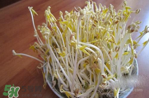 豆芽糖尿病可以吃嗎？糖尿病吃豆芽有什么好處？