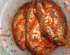 腌魚有亞硝酸鹽嗎？腌魚多久產生亞硝酸鹽？