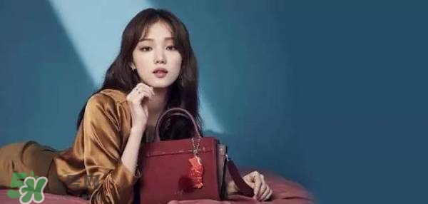李圣經(jīng)的包包什么牌子？李圣經(jīng)包包同款