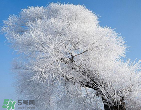 2017年第一場雪什么時(shí)候？2017年什么時(shí)候下雪？