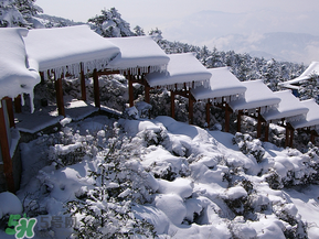 2017年第一場雪什么時(shí)候？2017年什么時(shí)候下雪？