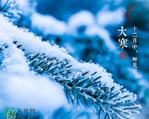 大寒是幾九？2017年大寒是幾九？