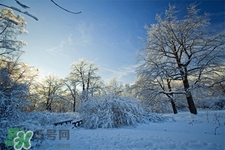 2017年過年天氣怎么樣？2017過年會下雨嗎？