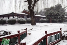 2017年過(guò)年會(huì)下雪嗎？2017年過(guò)年天氣情況
