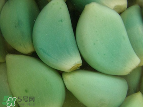 臘八醋里的蒜能吃嗎？臘八醋里的蒜好吃嗎？