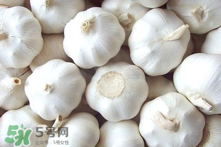 2017過年大蒜會(huì)漲價(jià)嗎？2017年春節(jié)大蒜價(jià)格預(yù)測