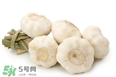 2017過年大蒜會(huì)漲價(jià)嗎？2017年春節(jié)大蒜價(jià)格預(yù)測