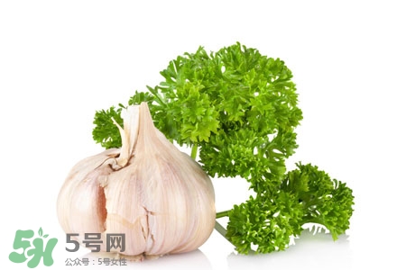 2017過年大蒜會(huì)漲價(jià)嗎？2017年春節(jié)大蒜價(jià)格預(yù)測