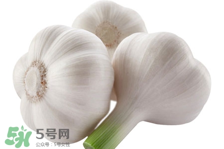2017過年大蒜會(huì)漲價(jià)嗎？2017年春節(jié)大蒜價(jià)格預(yù)測