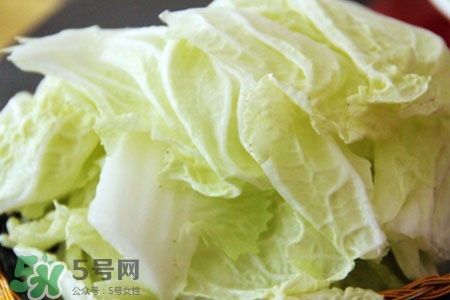 2017過(guò)年白菜會(huì)漲價(jià)嗎？2017年春節(jié)白菜價(jià)格預(yù)測(cè)