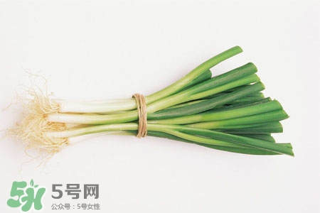 2017過(guò)年大蔥會(huì)漲價(jià)嗎？2017年春節(jié)大蔥價(jià)格預(yù)測(cè)