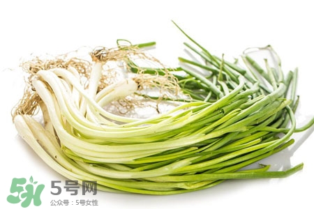 2017過年小蔥會漲價嗎？2017年春節(jié)小蔥價格預(yù)測