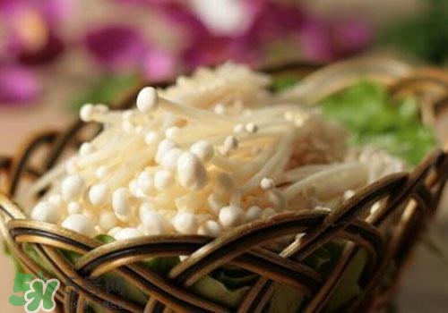 金針菇不能和什么一起吃？金針菇的食用禁忌