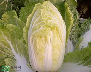 白菜葉子上的小黑點是什么？白菜葉子上有黑點能吃嗎？