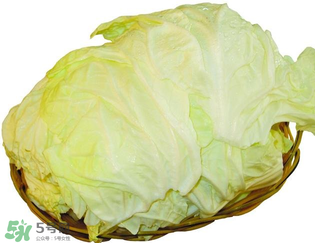 白菜發(fā)苦能吃嗎？大白菜發(fā)苦是什么原因？