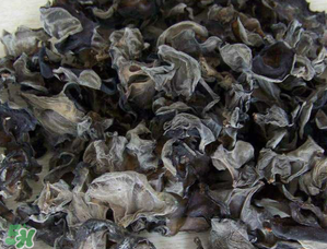干木耳泡多久可以吃？干木耳泡了兩天還能吃嗎？