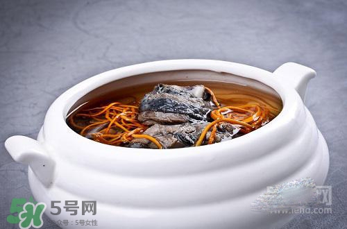 蟲(chóng)草花怎么吃？蟲(chóng)草花的吃法用量
