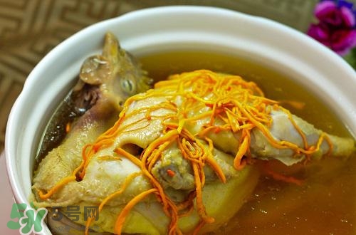 蟲(chóng)草花怎么吃？蟲(chóng)草花的吃法用量