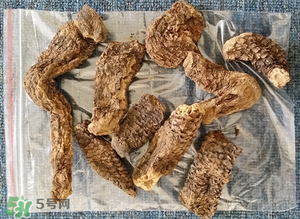 野生肉蓯蓉多少錢一斤？肉蓯蓉價(jià)格一斤多少錢？