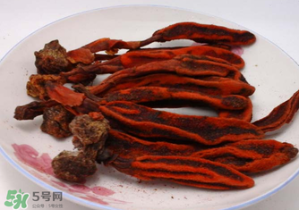 回春草有什么功效？回春草的功效與作用 
