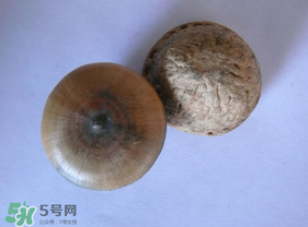 風流果多少錢一斤？風流果的價格