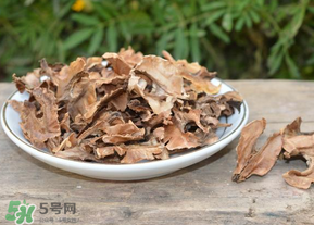 分心木真的能治失眠嗎？分心木治療失眠有奇效